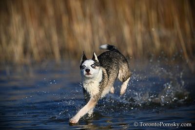 Apr13_23_137.jpg