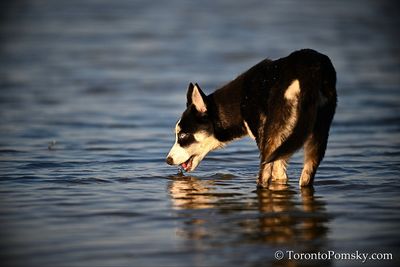 Apr13_23_160.jpg