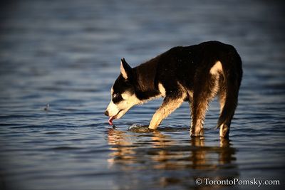 Apr13_23_161.jpg