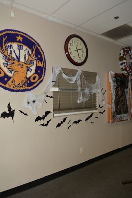 DSC_7398.JPG