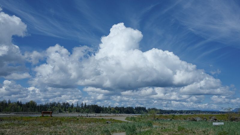 Vancouver Island