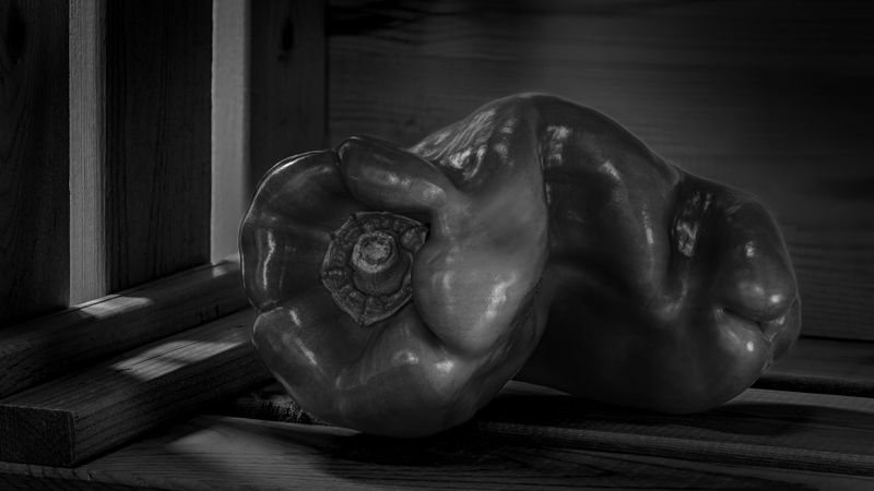 Still Life