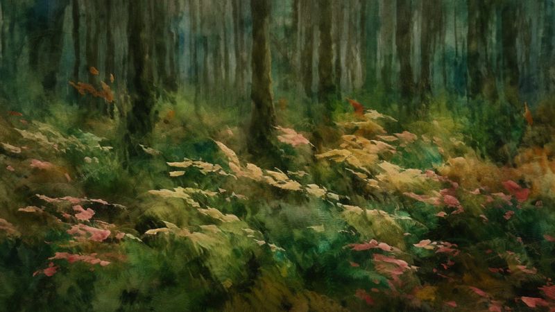 Ferns in the Fall