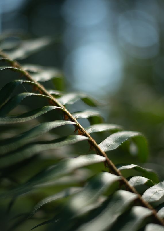 7Artisans 35mm f/1.2 Mark II