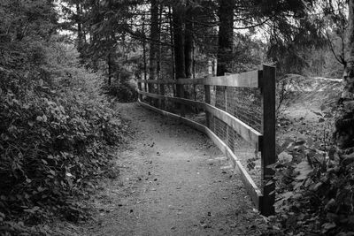 g13/12/729212/3/173613205.7207e12a.JPEG