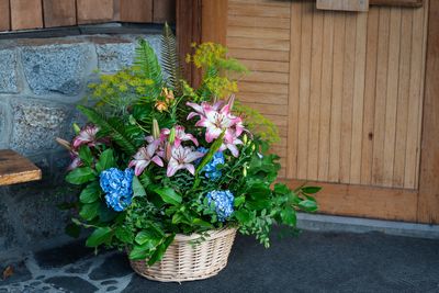 g13/12/729212/3/173821702.a7b2ffe0.JPEG