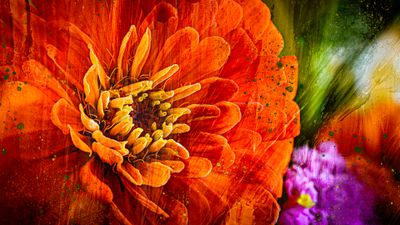 Bouquets from Dirtco