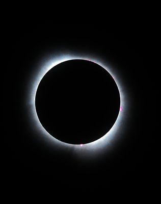Solar eclipse prominances