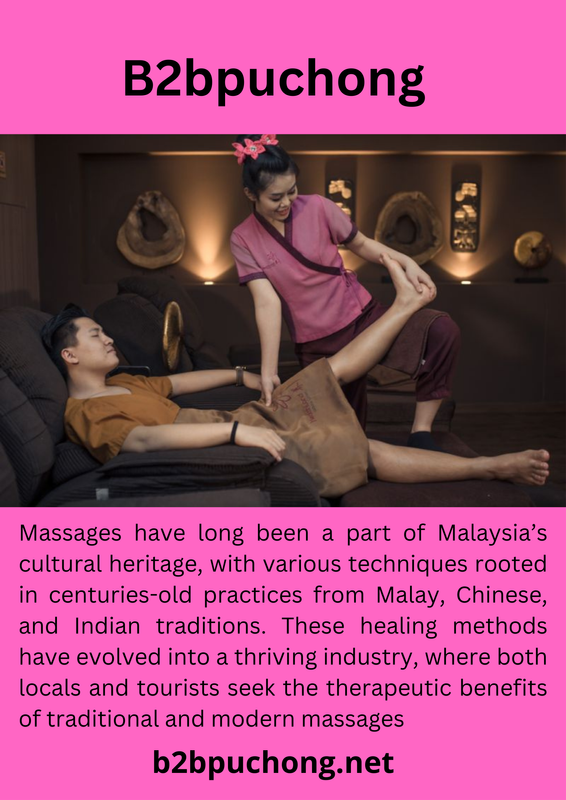 B2bpuchong