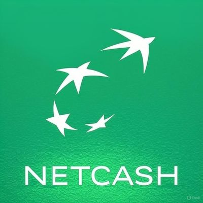 Net Cash 2.3 APK Free Download for Android Devices
