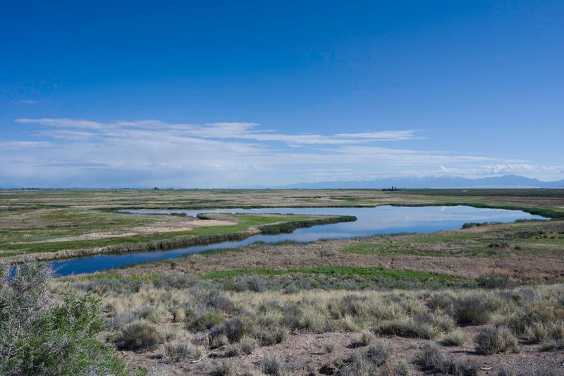 Alamosa National Wildlife Refuge