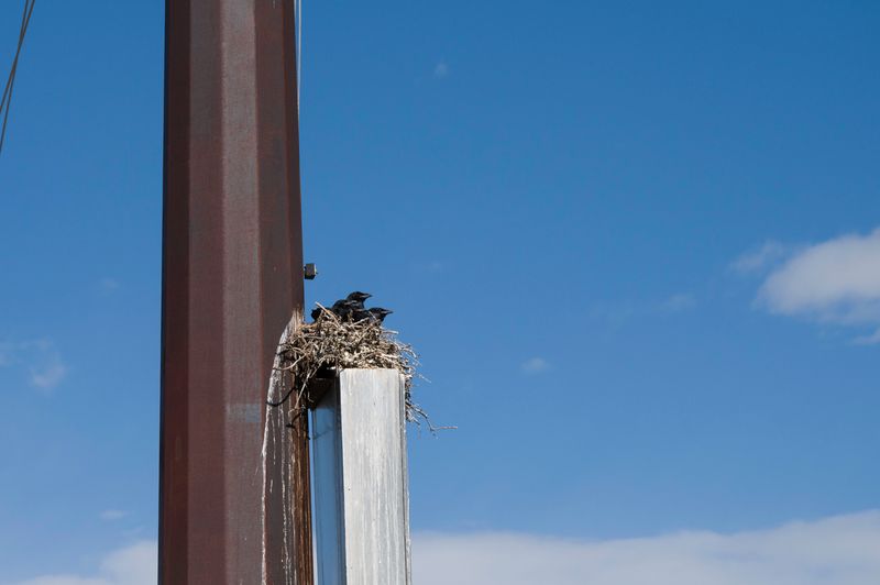 Alamosa National Wildlife Refuge
