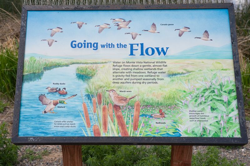 Monte Vista National Wildlife Refuge