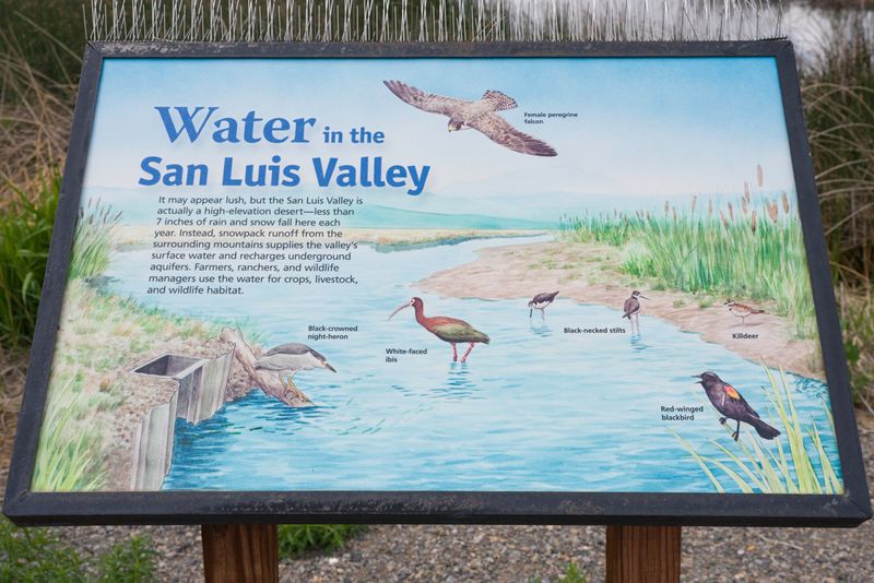 Monte Vista National Wildlife Refuge