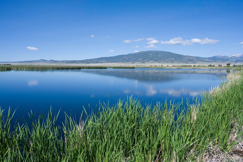 Monte Vista National Wildlife Refuge