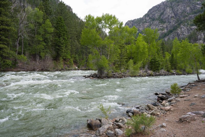 Durango & Silverton RR