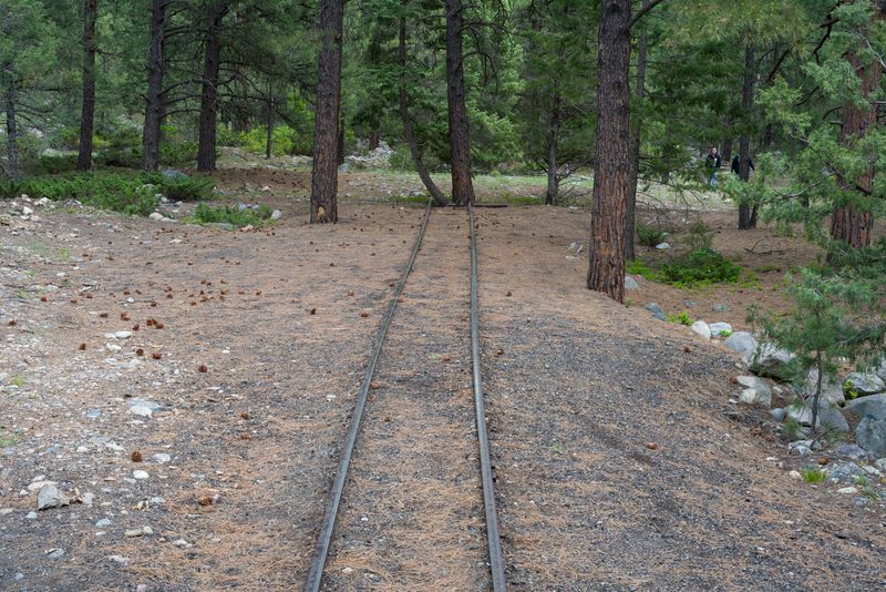 Durango & Silverton RR