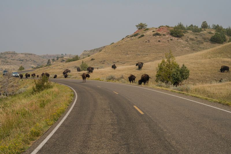 Theodore Roosevelt National Park South Unit