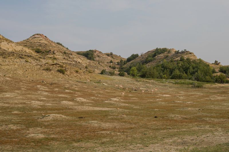 Theodore Roosevelt National Park South Unit