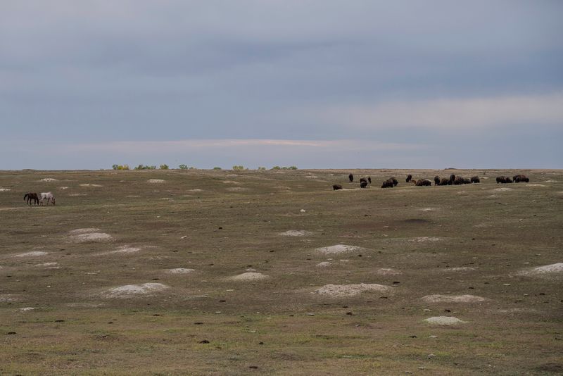 Theodore Roosevelt National Park South Unit