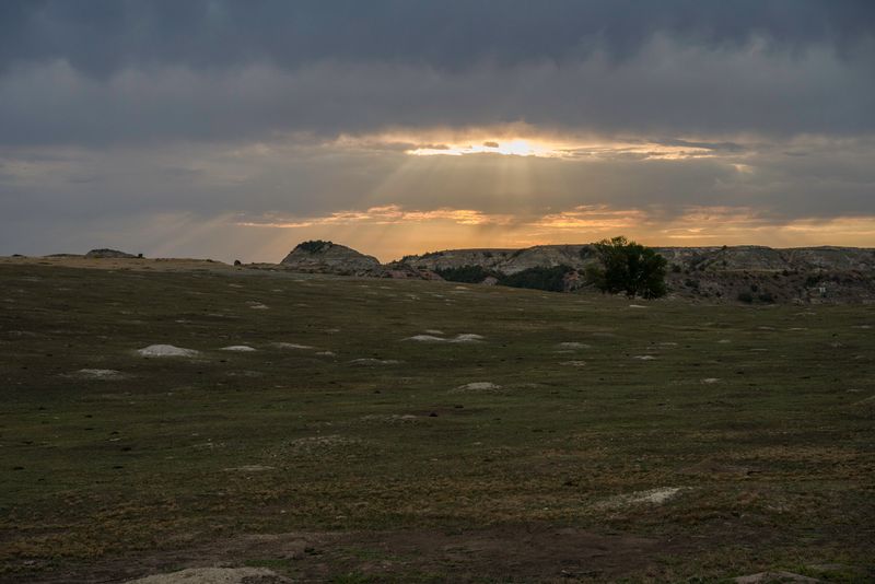 Theodore Roosevelt National Park South Unit