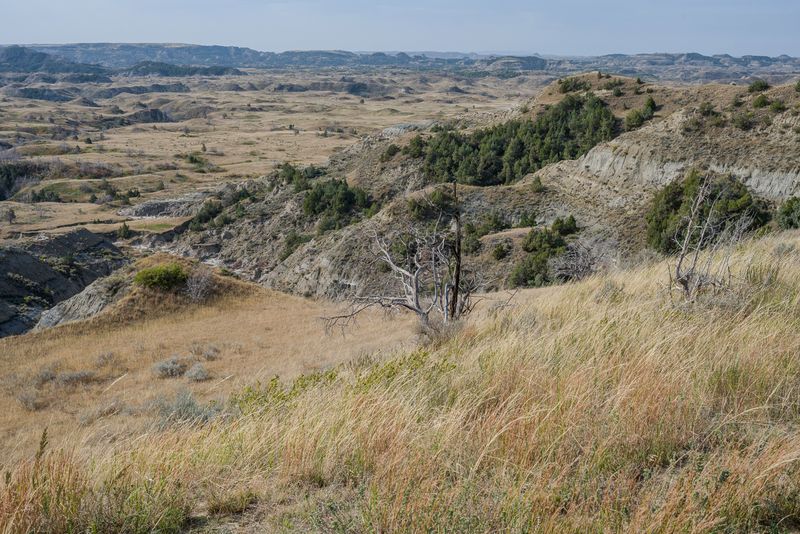 Teddy Roosevelt NP South Unit
