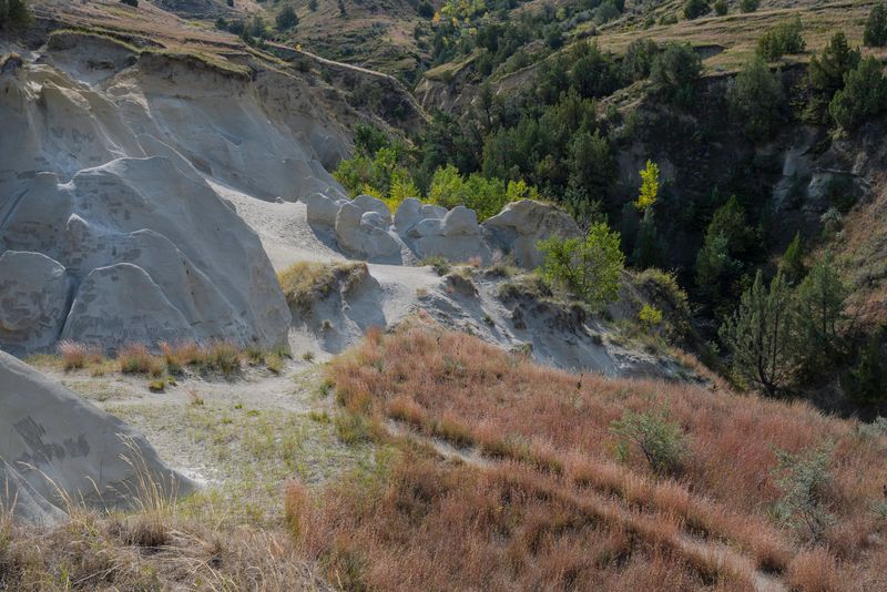 Teddy Roosevelt NP South Unit