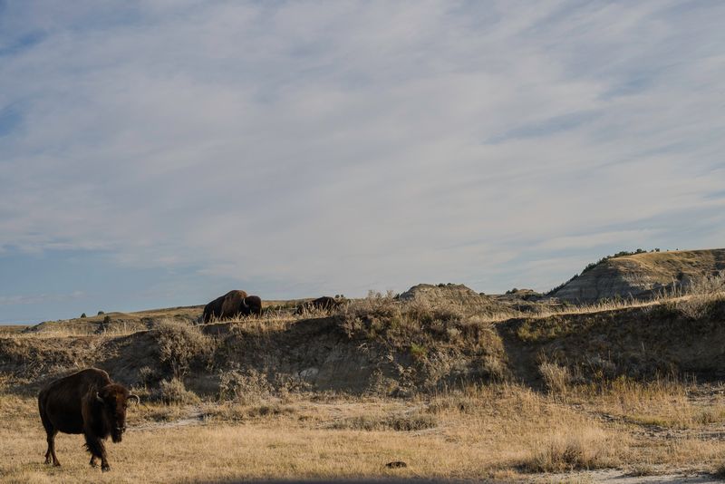Teddy Roosevelt NP South Unit