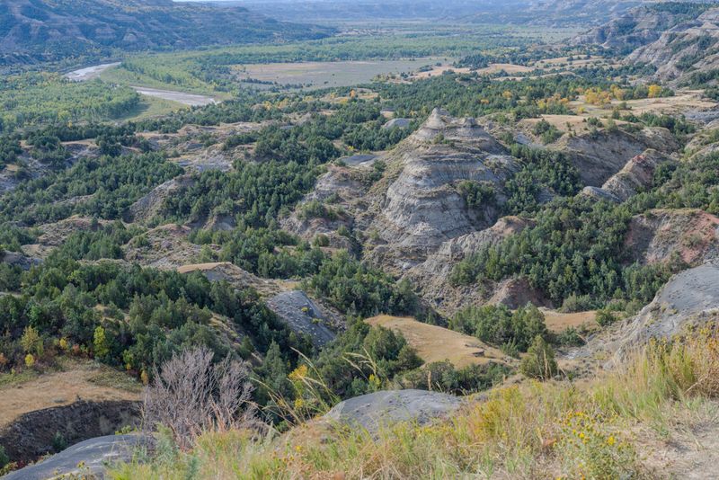 Theodore Roosevelt National Park North Unit