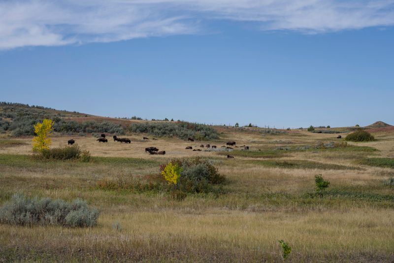 Theodore Roosevelt National Park North Unit