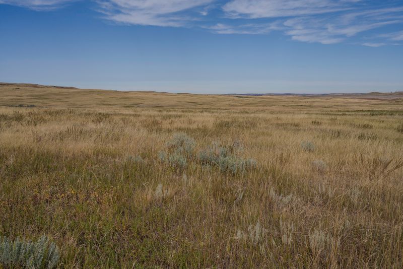 Theodore Roosevelt National Park North Unit