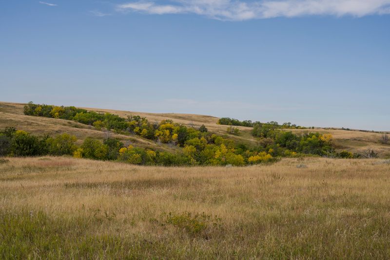 Theodore Roosevelt National Park North Unit