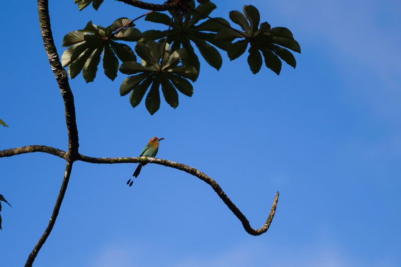 Costa Rica