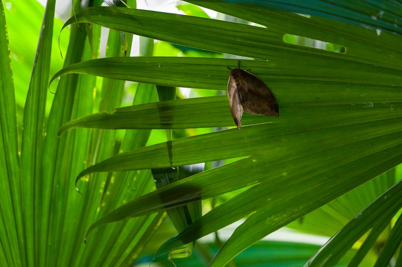 Costa Rica