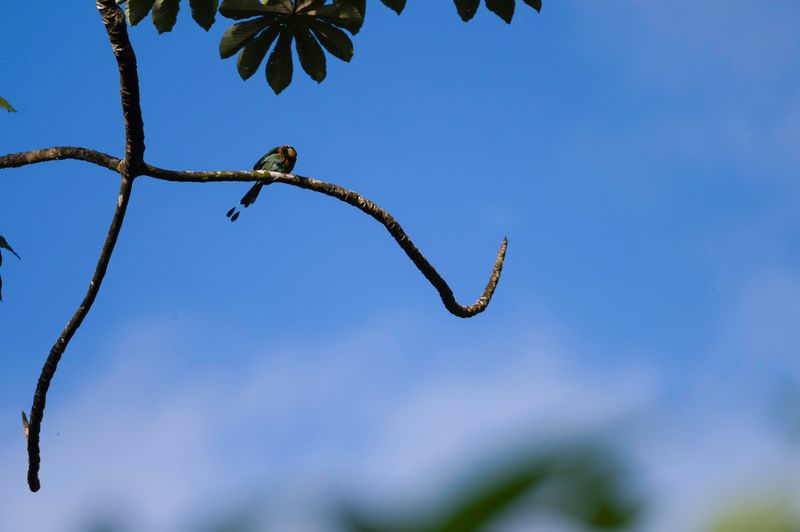 Costa Rica