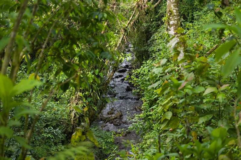 Costa Rica