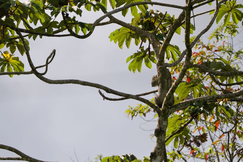 Costa Rica