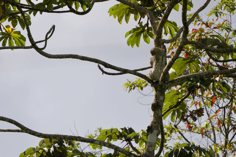 Costa Rica