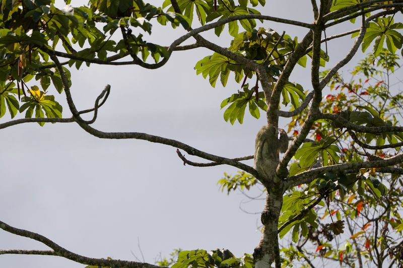 Costa Rica