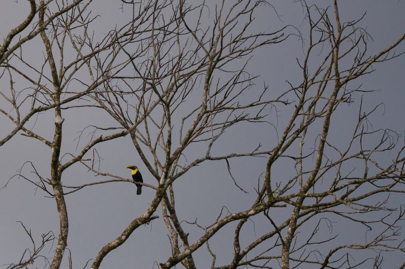 Costa Rica
