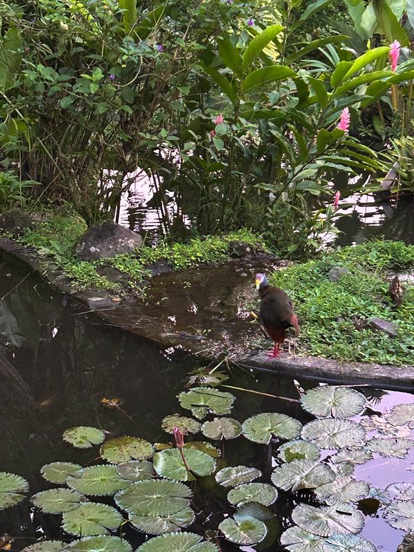 Costa Rica