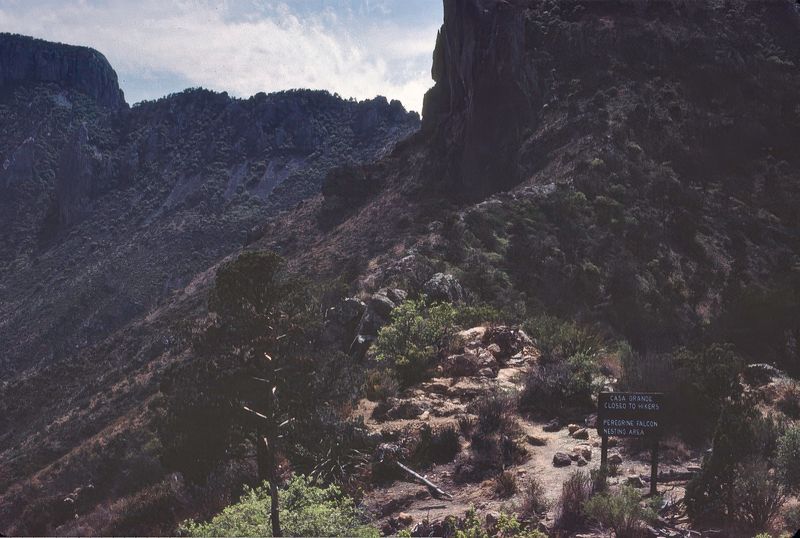 Big Bend NP April 1982