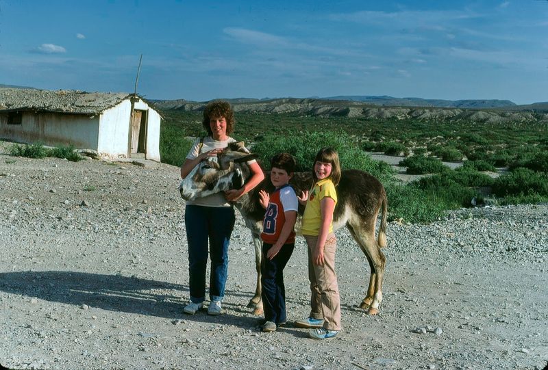 Big Bend NP April 1982