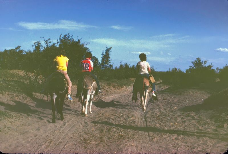 Big Bend NP April 1982