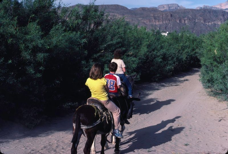 Big Bend NP April 1982