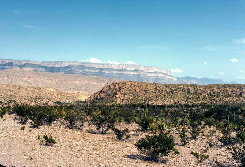 Big Bend NP April 1982