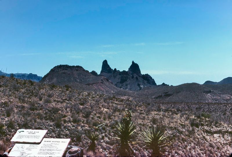Big Bend NP April 1982