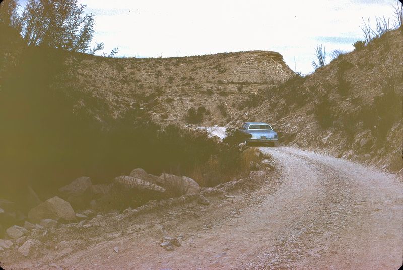 Big Bend NP April 1982