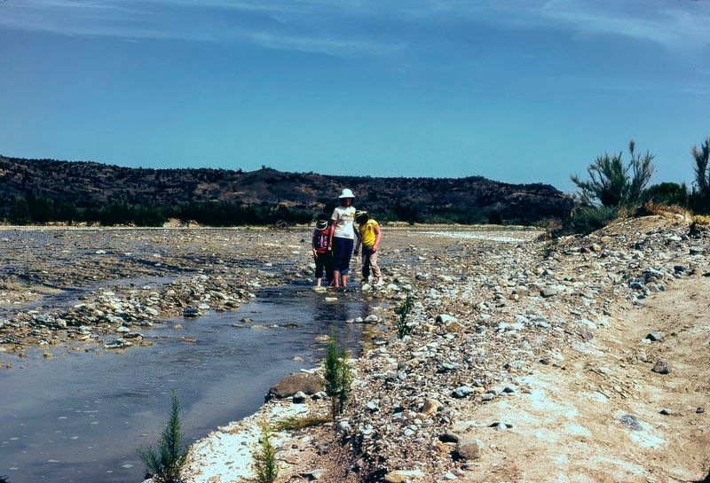 Big Bend NP April 1982