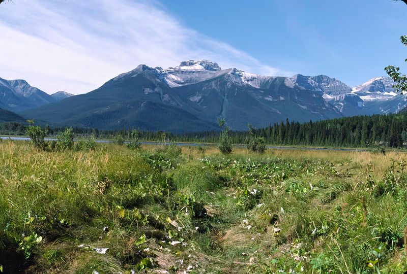 Banff NP 1986